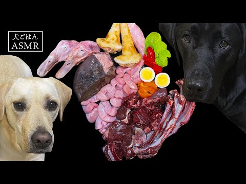 【ASMR  犬ごはん】何度も横取りを狙うレミとそんなこと気にしないティコの仲良し咀嚼音/Raw Feeding/Dogs asmr/犬の咀嚼音