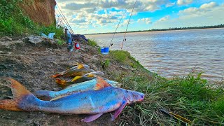 'EL POZO DE LAS PIEDRAS'tremenda pesca en solo 4 hs,salió de todo,armados,pati,amarilloNICO REYNOSO