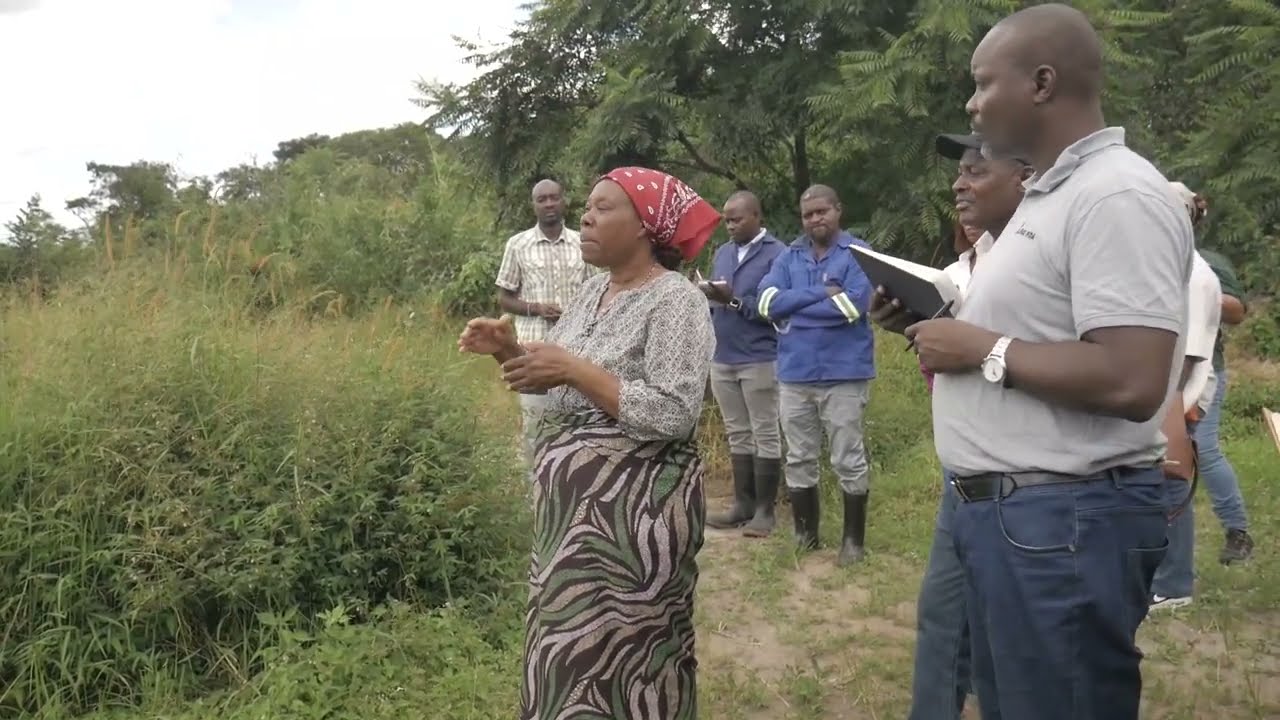 ZAMBIA: Forage Production Changing Lives of E SLIP Beneficiaries