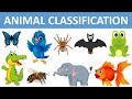 Classification of animals  types of animals  animal groups  sciences