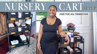 Nursery Cart Organization: Essential Tips for New Parents 👶 | Judi the Organizer