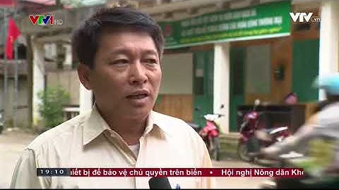 Phá rừng ở Vườn Quốc Gia Ba Bể, tỉnh Bắc Cạn