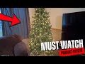 Why I Would Buy This Tree Again and Again 3 Years In | National Tree Company
