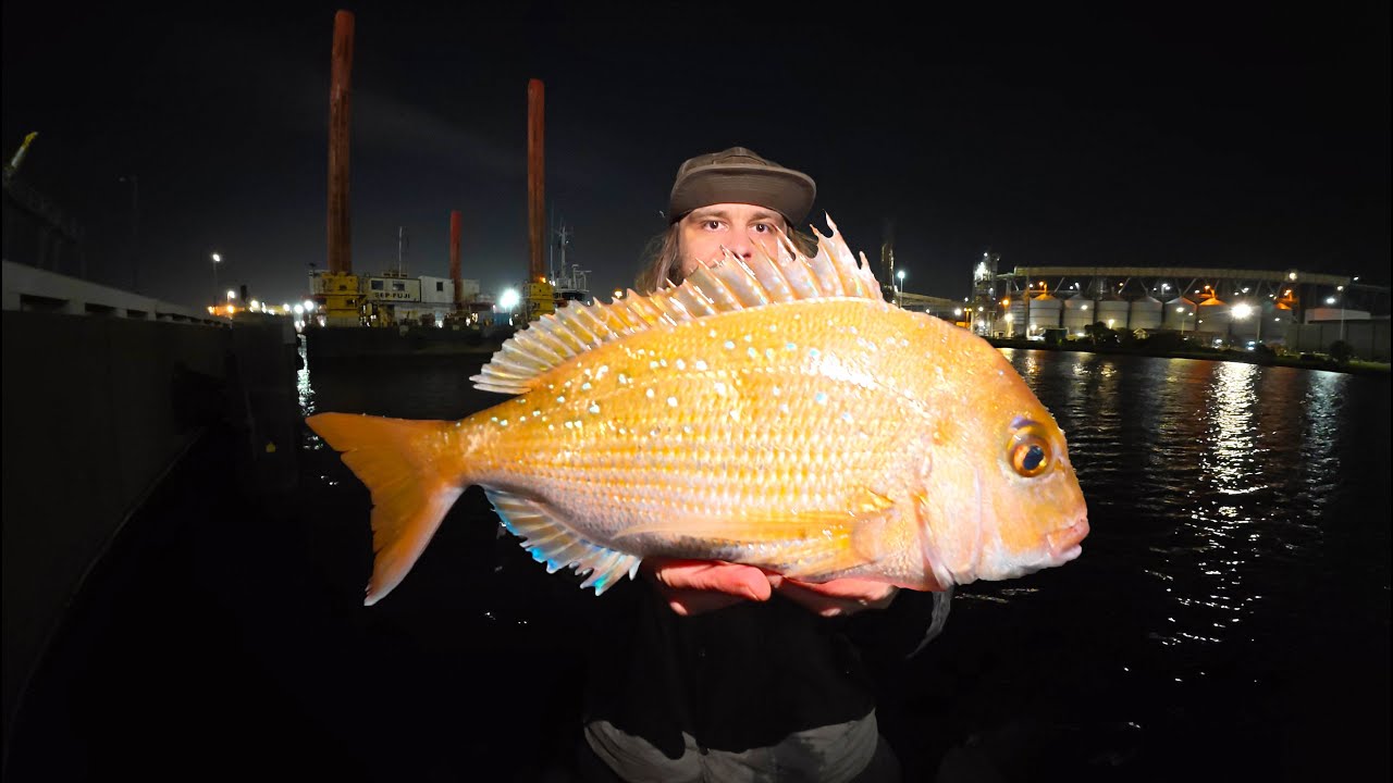 Я нашел рыбу, спрятавшуюся в лучшем городе Австралии для рыбалки!