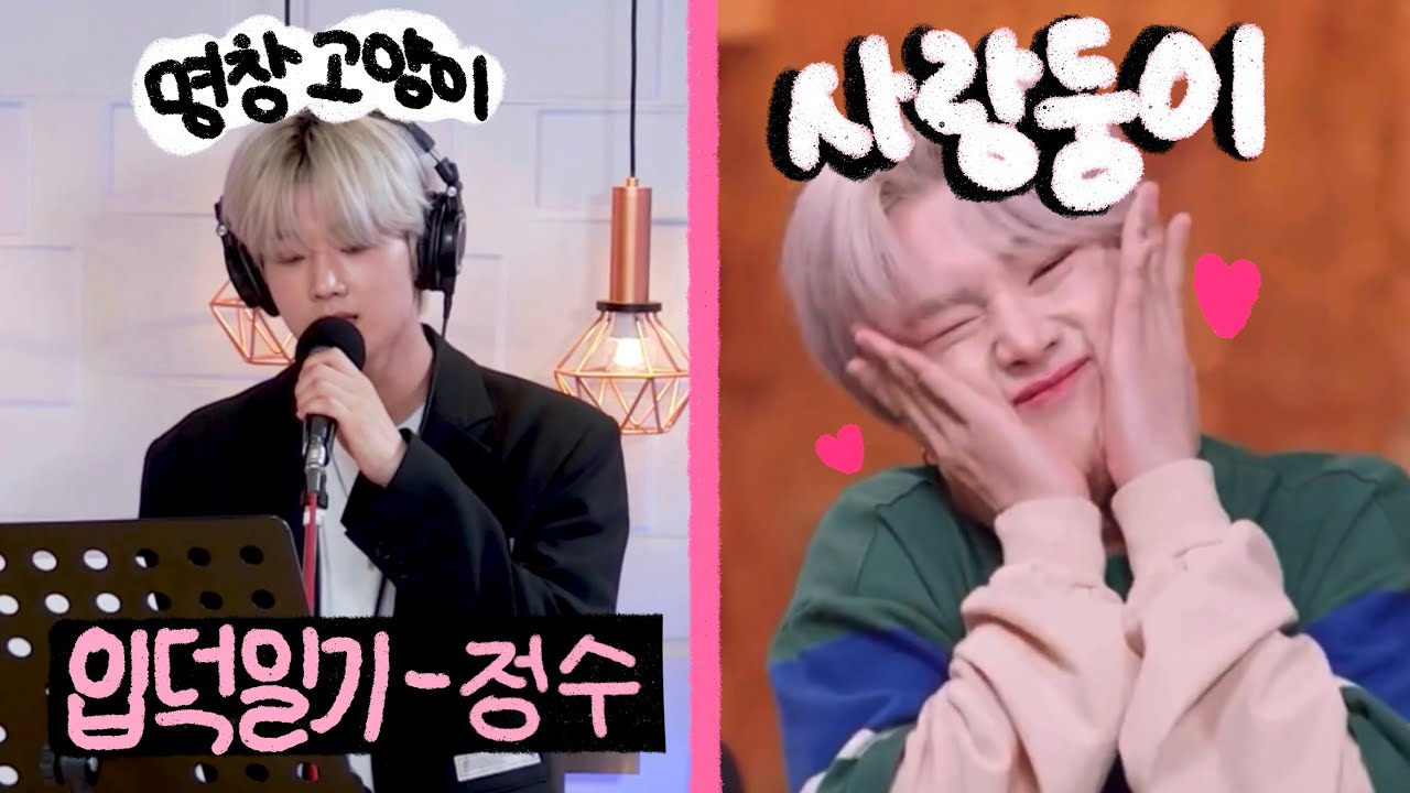 [입덕일기] 엑디즈 사랑둥이💕 키보디스트 정수에게 입덕해보기🎹