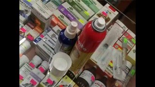 Блохи и клещи у собак Блохи и клещи у собак