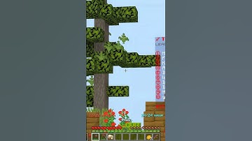 THIS MINECRAFT SERVER IS BETTER THAN HYPIXEL?? 💎