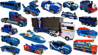 Satisfying Amazing Blue Transforming Toy - 100+ Transformers Tobot Carbot Dinosaur, Car Eating Shark