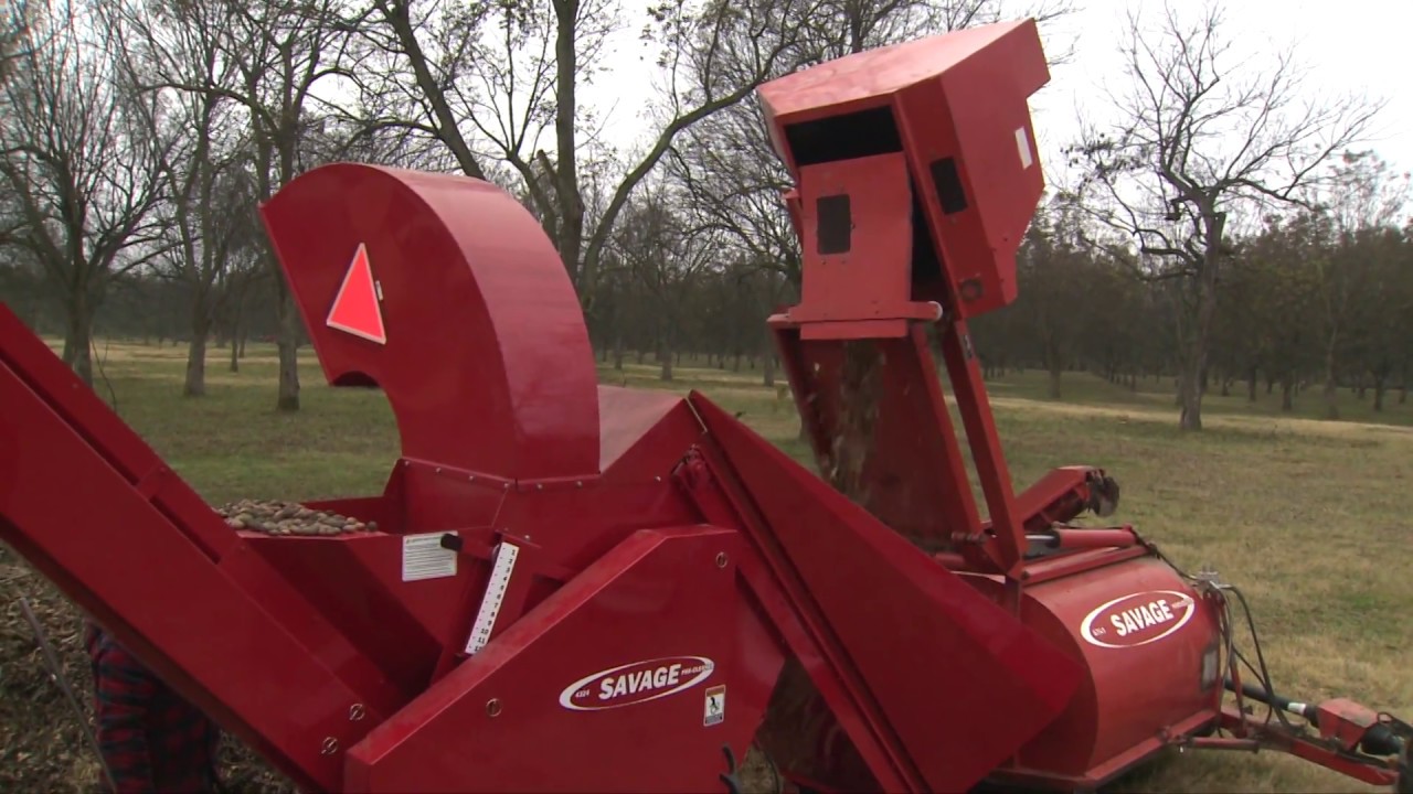 2017 Pecan Crop Outlook