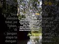 Mazmur 4:8 #bible #alkitab #renunganmalam #tidur #fyp