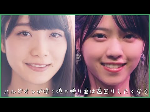 【フルver】 ハルジオンが咲く頃 × 帰り道は遠回りしたくなる　乃木坂46