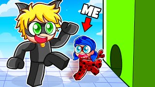 Roblox Tiny Vs Giant With Ladybug & Cat Noir