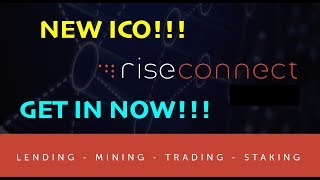 RiseConnect RIC ICO ALERT! Website and Back Office Review screenshot 2