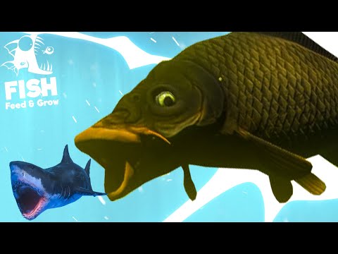 видео: БЕЗУМНЫЙ БОЛОТНЫЙ КАРП - Эволюция рыбы! Рыбий челлендж Feed and grow fish
