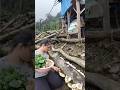 Mencari sayuran dan jamur di ladang