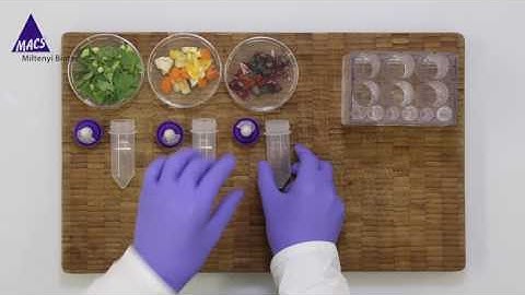 gentleMACS Dissociators: Easy As Your Morning Smoothie