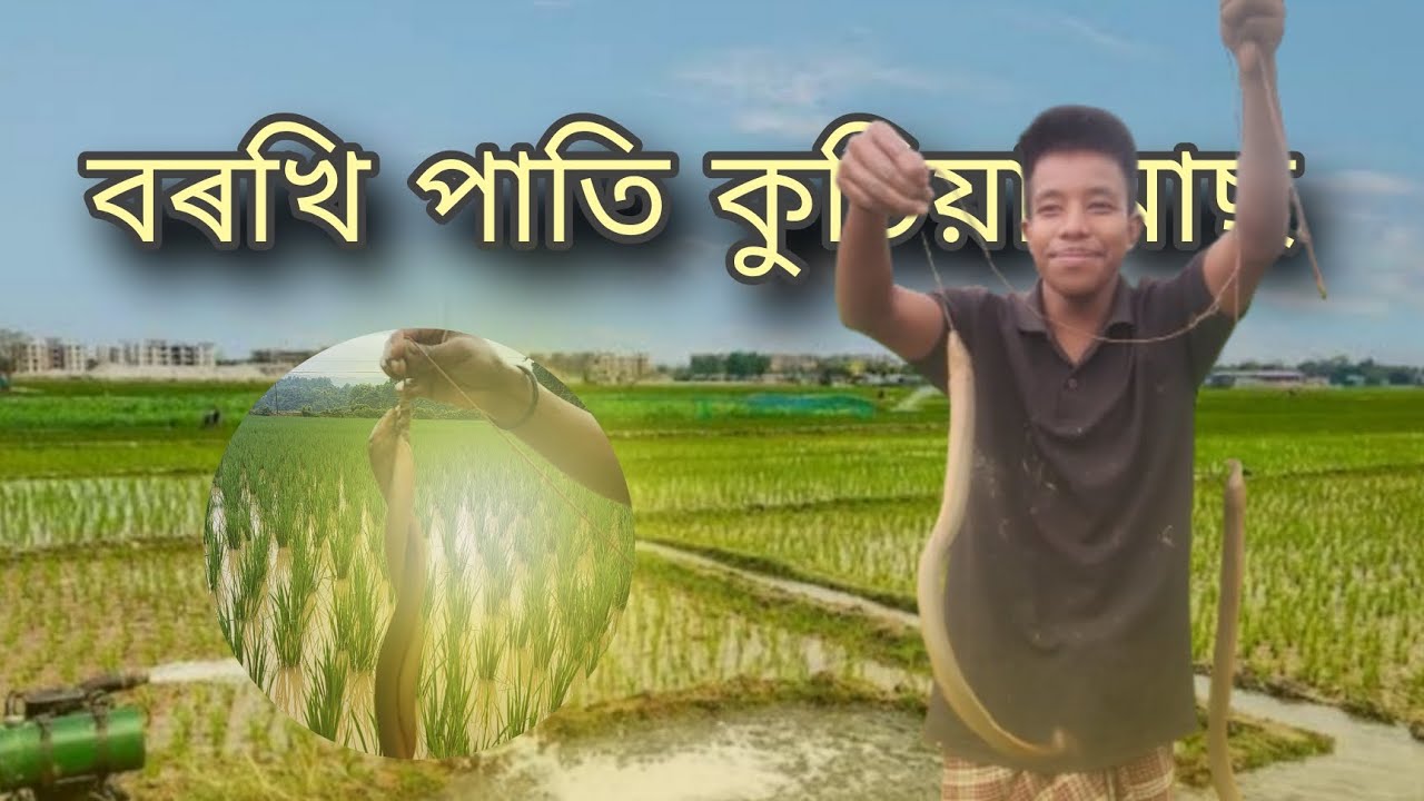 Borkhi Mari khusiya মাছ 💖