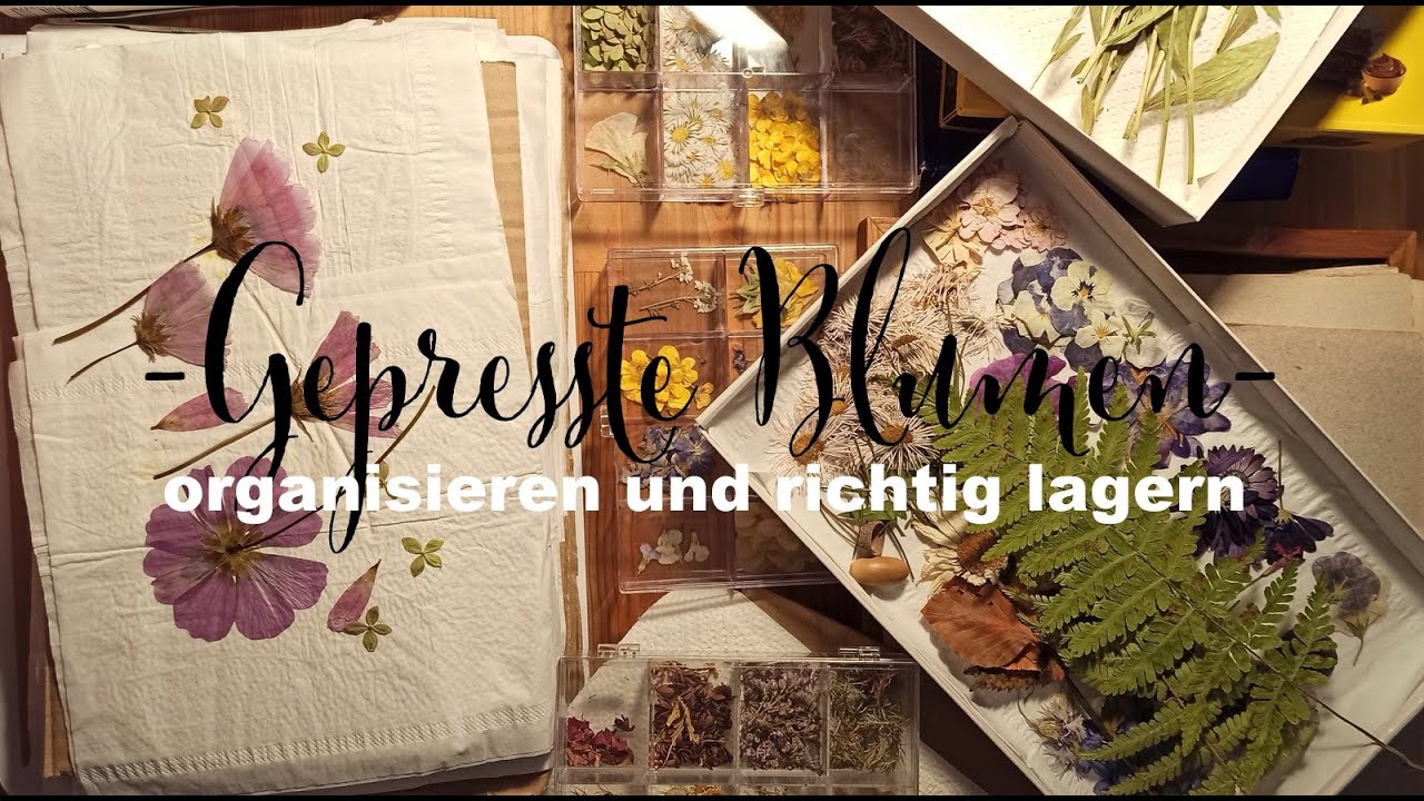 toilettenpapier aufbewahrung mit deckel Korb aus Bambus für Mega Toilettenpapier, Toilettenpapier Stehend Klopapier Aufbewahrung Box Bad WC-Papier Badezimmer Organizer, Ersatzrollenhalter, Grau Küche, Haushalt & Wohnen Deutsches Tiefkühlinstitut e.V. - Feier Farbe:schwarz
