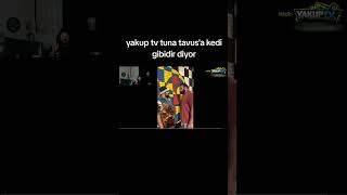 yakuptv tuna tavus'a kedi gibi diyor