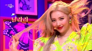 SUNMI (선미) - LALALAY (날라리) Comeback Stage Mix 무대모음 교차편집