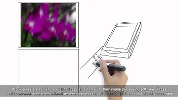 NUS’ leadership and advancements in data science