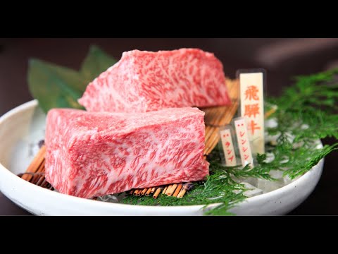 Video Khám phá Nhật Bản tôi yêu - Phần 1 - Ẩm thực | JNTO - youtube
