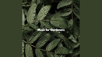 Swanky Moods for Fine Fusion