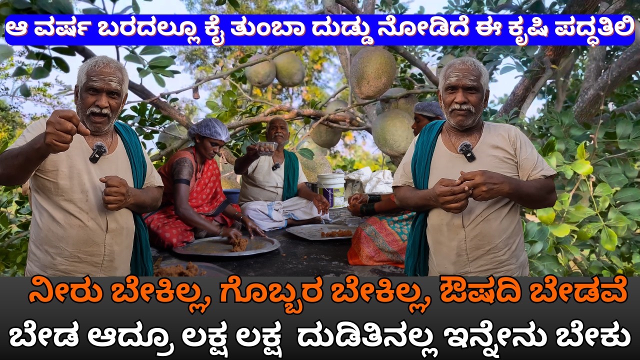 ನನ್ನ ತೋಟಕ್ಕೆ ನೀರು,ಔಷದ, ಏನು ಆದ್ರೂ ಕೈ ತುಂಬಾ ದುಡ್ಡು |bela fruit farmer vishweshwara sajjan EP-06 