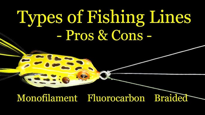 Fishing LINE Types 101  When to Use Mono, Fluoro, or Braid 
