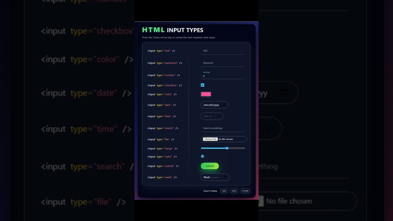 HTML Input Types Explained | Material Style Form Demo for Beginners 