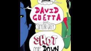 David Guetta feat Skylar Grey - She Shot Me Down (Extended Mix)
