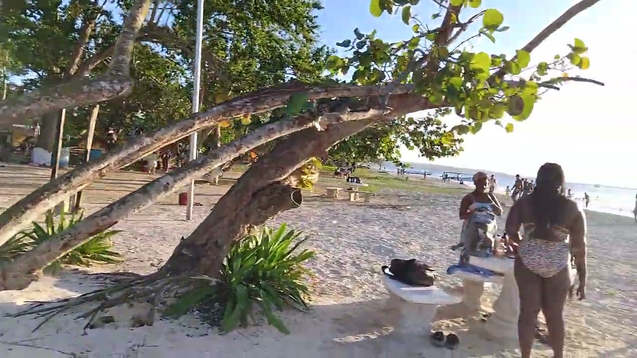 Long Bay Beach on a Holiday 