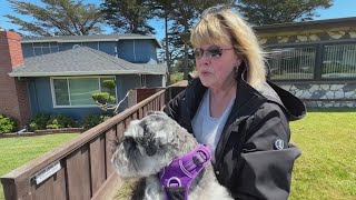Neighbor describes hearing gunshots in South SF police shooting