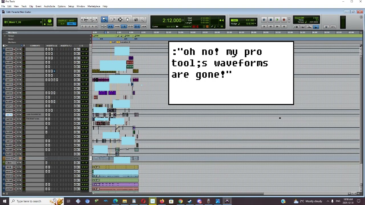 pro tools wave forms disappearing.