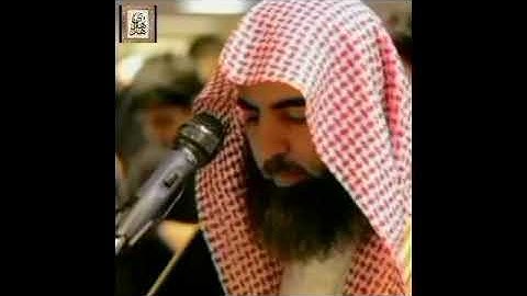 سورة البينة - الشيخ محمد اللحيدان