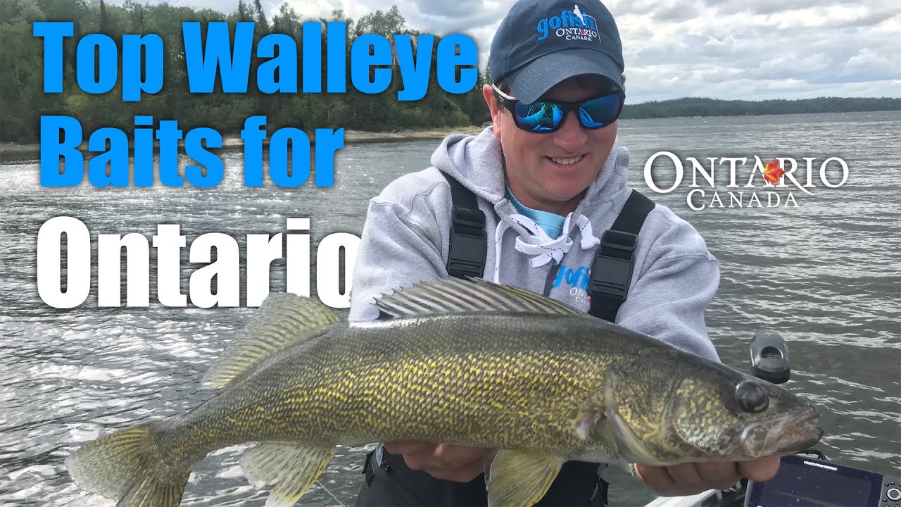 Top Walleye Baits For Ontario AnglingBuzz