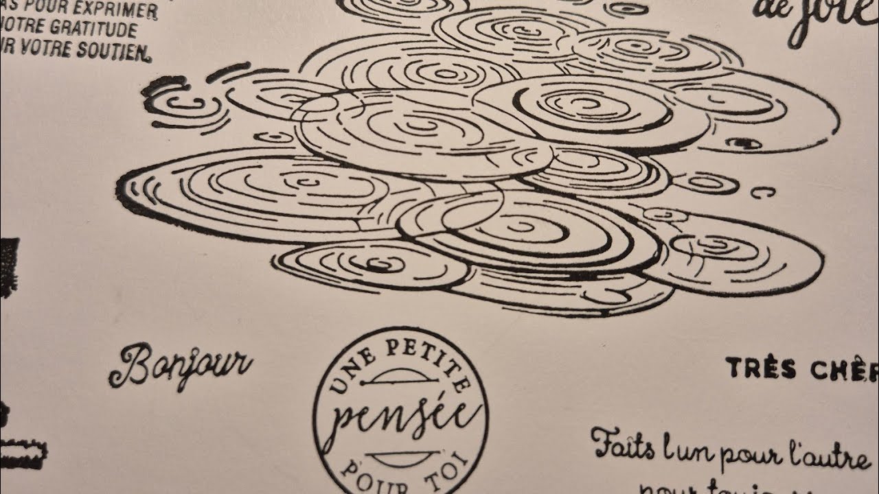 (335) - HAUL SHEIN -Partie II 😉