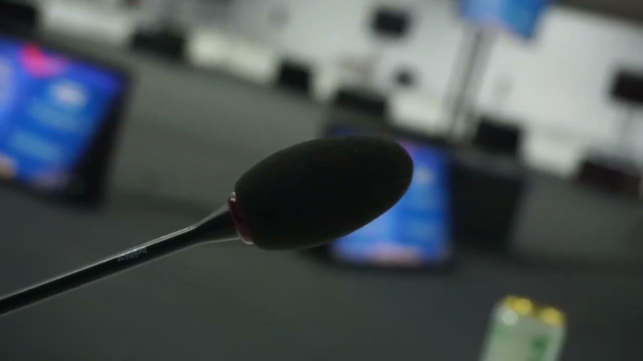 COP 30 2025 - Belém PA - equipe Hoffmann Brasil