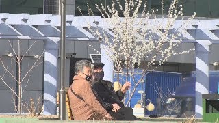 平壌市民もマスク姿 街に春の訪れ