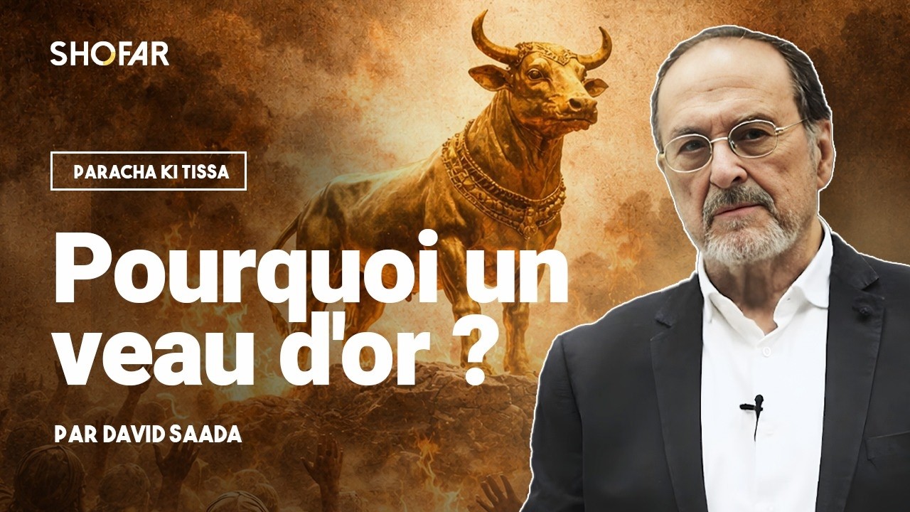 Pourquoi un veau d'or ? Par David Saada sur la Paracha de Ki Tissa