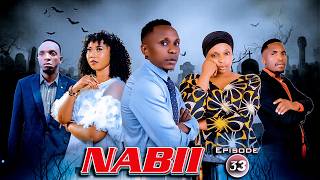 NABII 《33》
