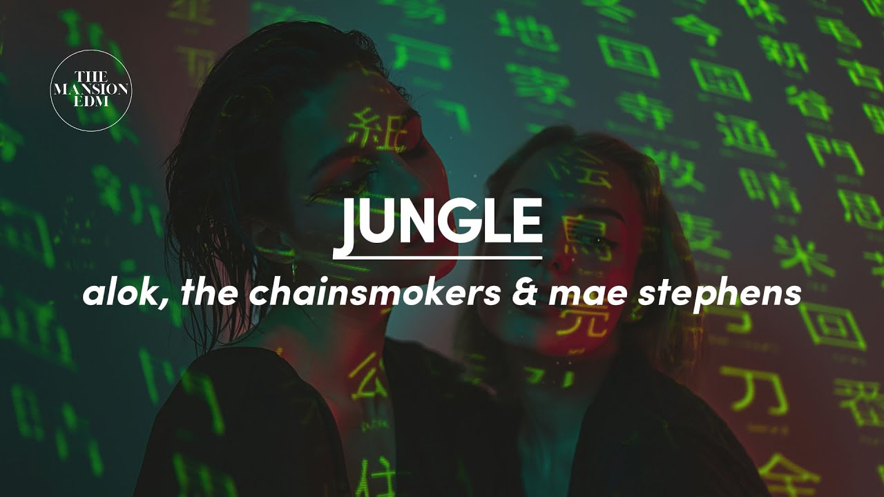 Alok, The Chainsmokers & Mae Stephens - Jungle (Lyrics)