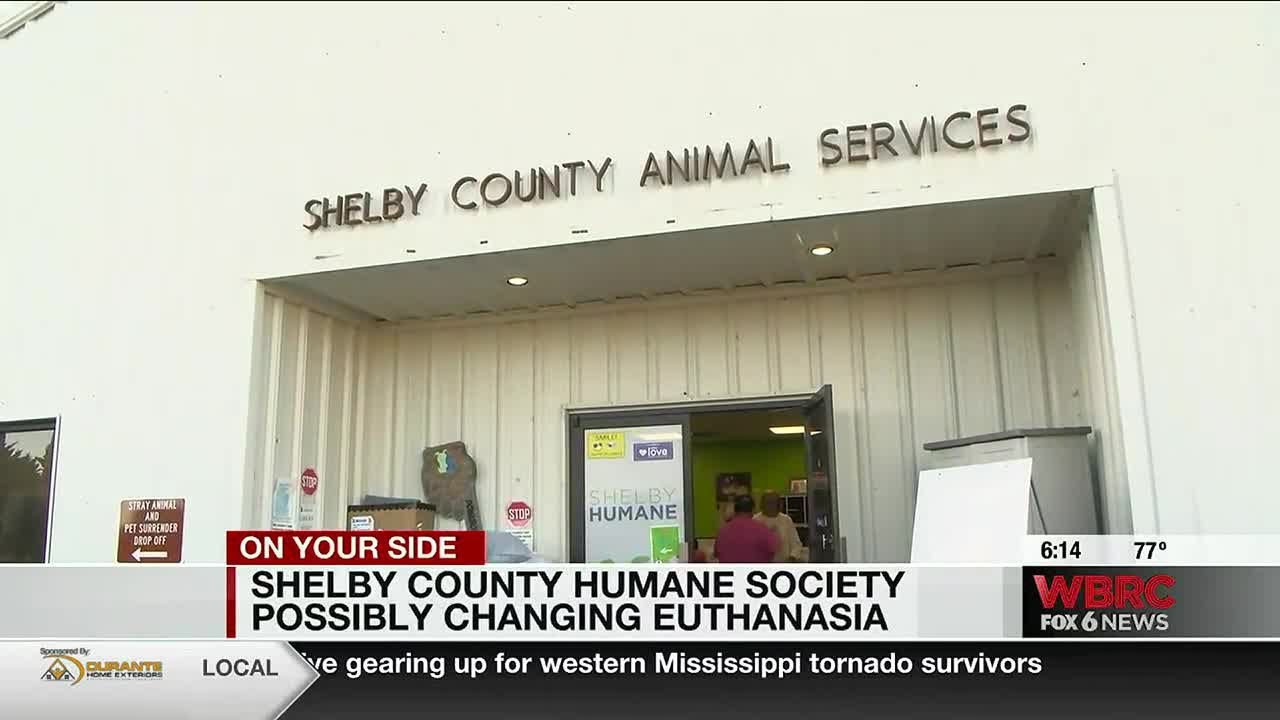 Shelby County Humane Society considering change of euthanasia policy