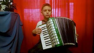 Маленький аккордеонист Карнавал в Венеции / Carnival in Venice accordion венецианская народная песня