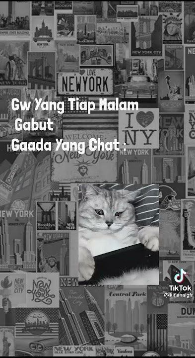 story WA jamet