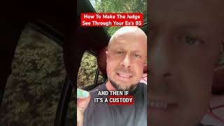 Celebrity How to Make the Judge See the Truth in Your Divorce or Child Custody Case Against a Narcissist Wealth