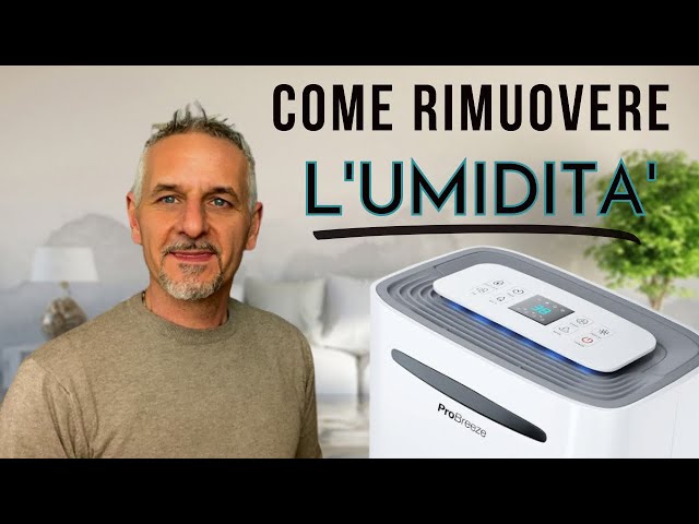 COME RIMUOVERE L'UMIDITA': Il miglior deumidificatore del 2023 