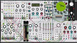 Celebrity #Ambient | Paul Mitchell - No Escape: from Modular Expressions (Live Generative Patch) Wealth