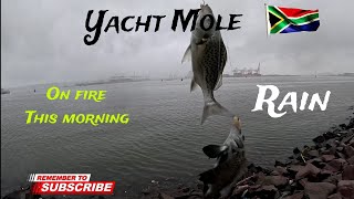 OFFROAD4LIFE, Fishing in Yacht Mole, Durban, South Africa