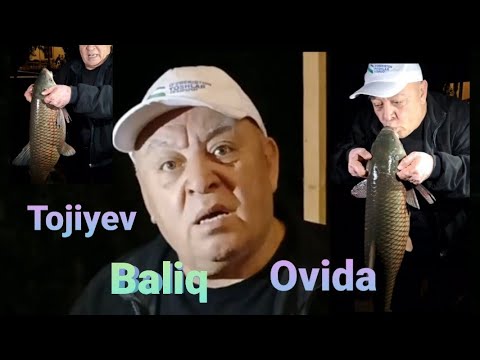 Видео: Тожиев Балиқ 